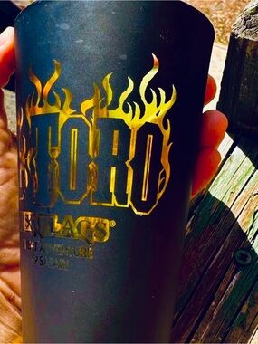 Six Flags Great Adventure El Toro Roller Coaster Enthusiast Pint Glass